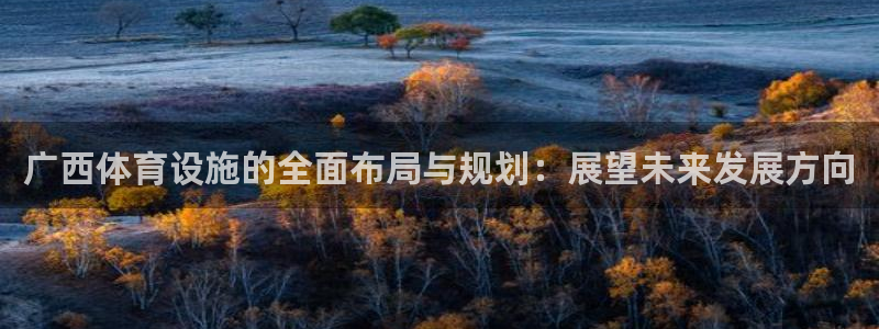 意昂4官方：广西体育设施的全面布局与规划：展望未来发