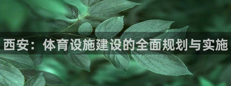 意昂体育4平台注册流程视频：西安：体育设施建设的全面