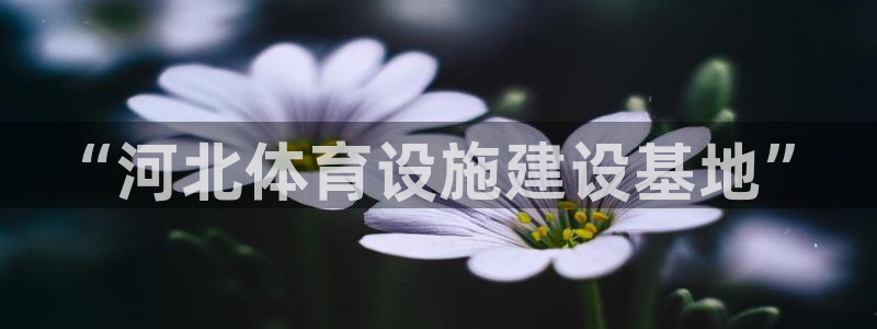 意昂体育4平台假的吗是真的吗吗：“河北体育设施建设基