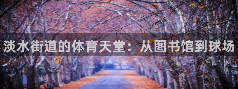 海南意昂体育4：淡水街道的体育天堂：从图书馆到球场