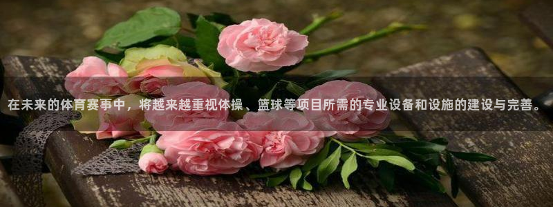 意昂4娱乐首页网站大全：在未来的体育赛事中，将越来越